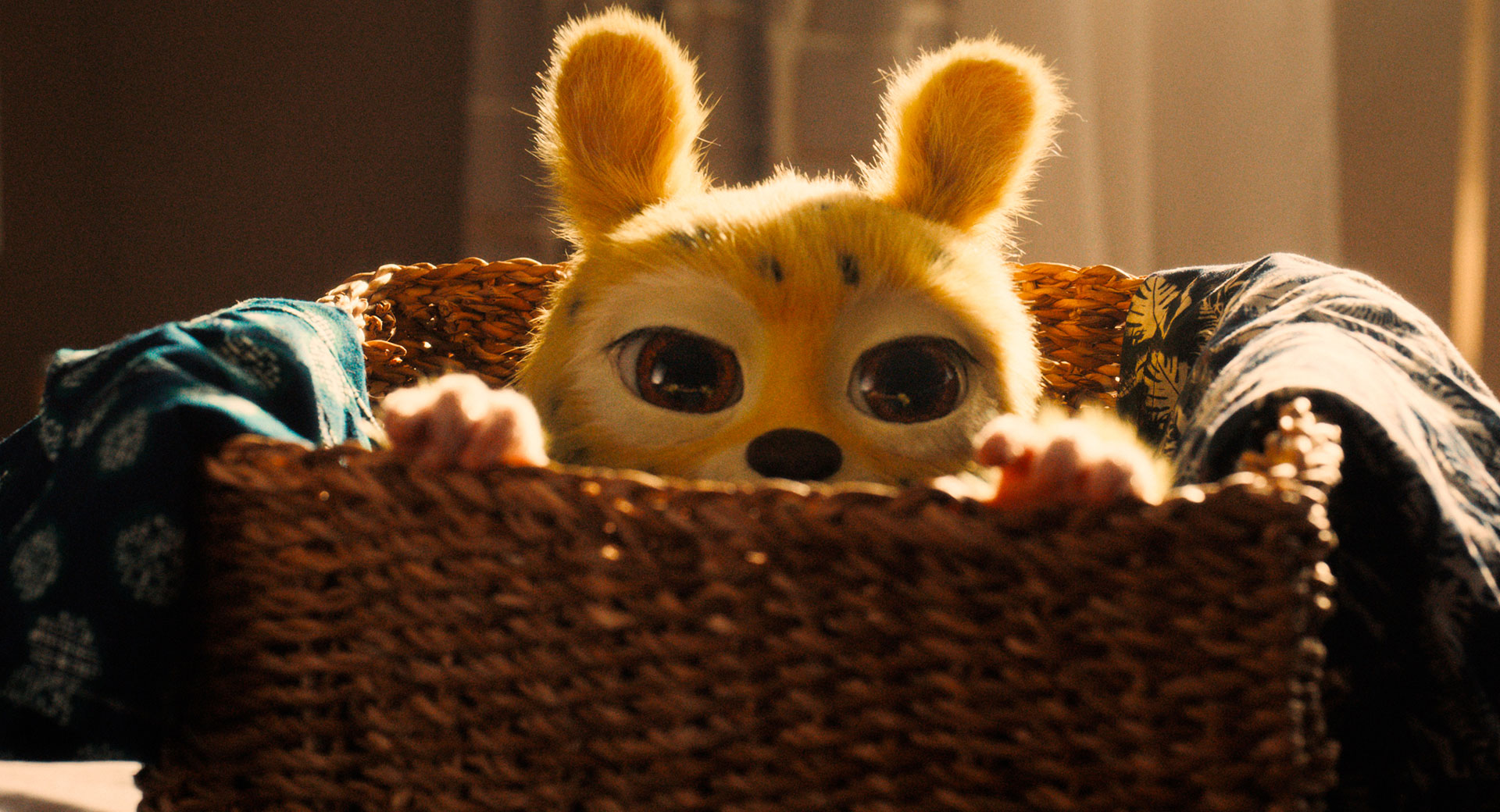 overview